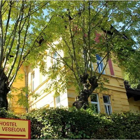 Vv - City Center